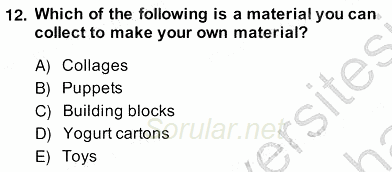 Çocuklara Yabancı Dil Öğretimi 2 2013 - 2014 Ara Sınavı 12.Soru