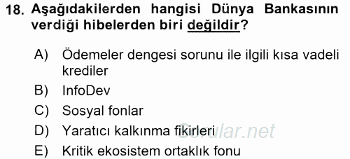 Uluslararası Ekonomik Kuruluşlar 2015 - 2016 Ara Sınavı 18.Soru