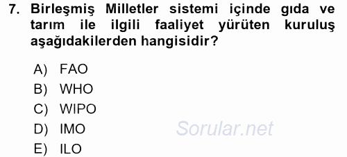 Uluslararası Ekonomik Kuruluşlar 2015 - 2016 Ara Sınavı 7.Soru