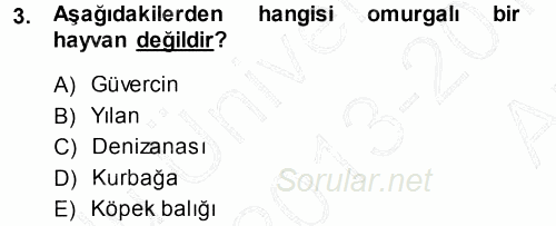 Okulöncesinde Fen Eğitimi 2013 - 2014 Ara Sınavı 3.Soru
