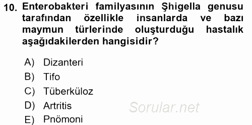 Veteriner Mikrobiyoloji ve Epidemiyoloji 2016 - 2017 3 Ders Sınavı 10.Soru