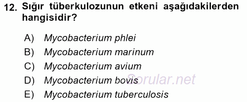 Veteriner Mikrobiyoloji ve Epidemiyoloji 2016 - 2017 3 Ders Sınavı 12.Soru