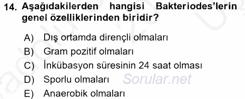 Veteriner Mikrobiyoloji ve Epidemiyoloji 2016 - 2017 3 Ders Sınavı 14.Soru