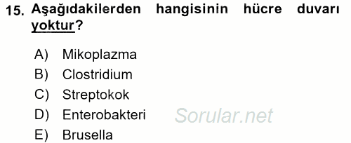 Veteriner Mikrobiyoloji ve Epidemiyoloji 2016 - 2017 3 Ders Sınavı 15.Soru