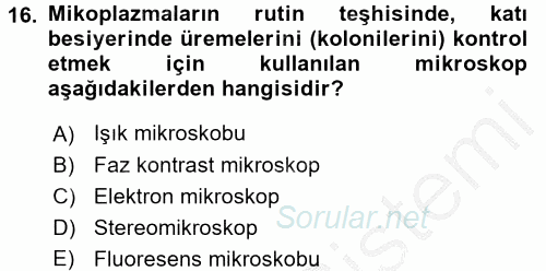 Veteriner Mikrobiyoloji ve Epidemiyoloji 2016 - 2017 3 Ders Sınavı 16.Soru