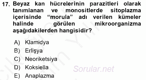 Veteriner Mikrobiyoloji ve Epidemiyoloji 2016 - 2017 3 Ders Sınavı 17.Soru