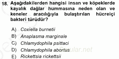 Veteriner Mikrobiyoloji ve Epidemiyoloji 2016 - 2017 3 Ders Sınavı 18.Soru