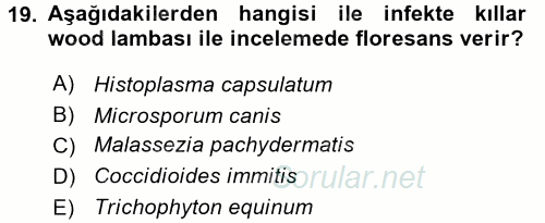 Veteriner Mikrobiyoloji ve Epidemiyoloji 2016 - 2017 3 Ders Sınavı 19.Soru