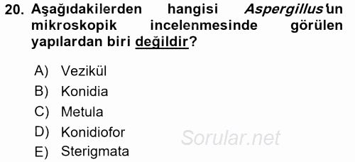 Veteriner Mikrobiyoloji ve Epidemiyoloji 2016 - 2017 3 Ders Sınavı 20.Soru