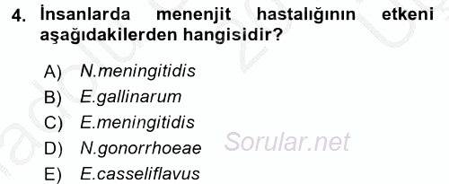 Veteriner Mikrobiyoloji ve Epidemiyoloji 2016 - 2017 3 Ders Sınavı 4.Soru