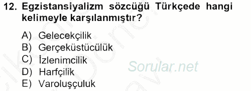 Batı Edebiyatında Akımlar 2 2012 - 2013 Dönem Sonu Sınavı 12.Soru