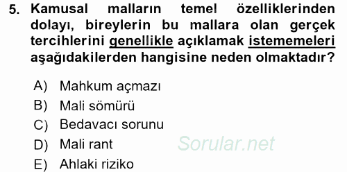 Kamu Ekonomisi 2 2015 - 2016 Ara Sınavı 5.Soru