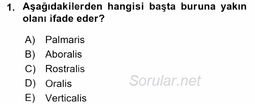 Temel Veteriner Anatomi 2015 - 2016 Tek Ders Sınavı 1.Soru