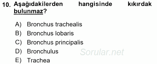 Temel Veteriner Anatomi 2015 - 2016 Tek Ders Sınavı 10.Soru