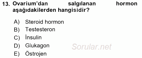 Temel Veteriner Anatomi 2015 - 2016 Tek Ders Sınavı 13.Soru