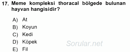 Temel Veteriner Anatomi 2015 - 2016 Tek Ders Sınavı 17.Soru