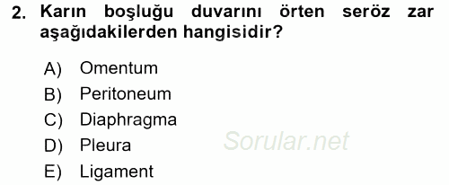 Temel Veteriner Anatomi 2015 - 2016 Tek Ders Sınavı 2.Soru