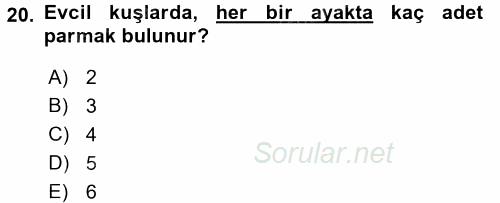 Temel Veteriner Anatomi 2015 - 2016 Tek Ders Sınavı 20.Soru