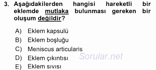 Temel Veteriner Anatomi 2015 - 2016 Tek Ders Sınavı 3.Soru