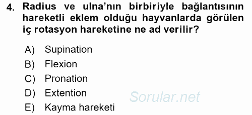 Temel Veteriner Anatomi 2015 - 2016 Tek Ders Sınavı 4.Soru