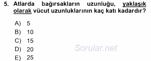 Temel Veteriner Anatomi 2015 - 2016 Tek Ders Sınavı 5.Soru