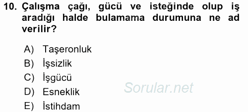 Çalışma Sosyolojisi 2017 - 2018 Ara Sınavı 10.Soru