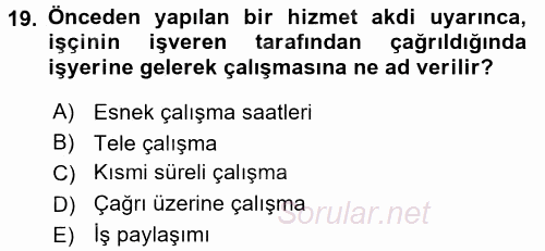 Çalışma Sosyolojisi 2017 - 2018 Ara Sınavı 19.Soru