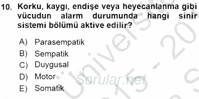 Çocuk Ruh Sağlığı 2015 - 2016 Ara Sınavı 10.Soru