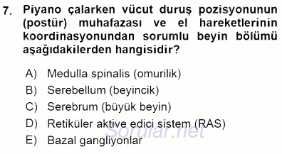 Çocuk Ruh Sağlığı 2015 - 2016 Ara Sınavı 7.Soru