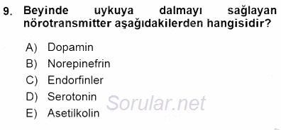 Çocuk Ruh Sağlığı 2015 - 2016 Ara Sınavı 9.Soru