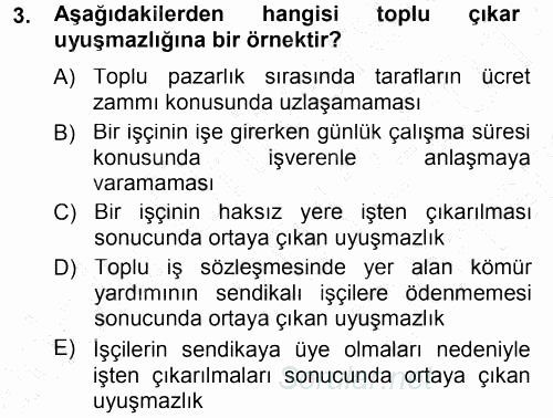 Endüstri İlişkileri 2012 - 2013 Dönem Sonu Sınavı 3.Soru