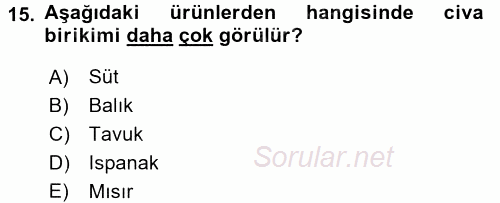 Gıda Mevzuatı ve Kalite Yönetimi 2016 - 2017 Dönem Sonu Sınavı 15.Soru
