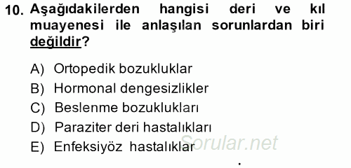 Temel Klinik Bilgisi 2014 - 2015 Ara Sınavı 10.Soru