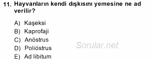 Temel Klinik Bilgisi 2014 - 2015 Ara Sınavı 11.Soru