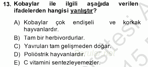 Temel Klinik Bilgisi 2014 - 2015 Ara Sınavı 13.Soru