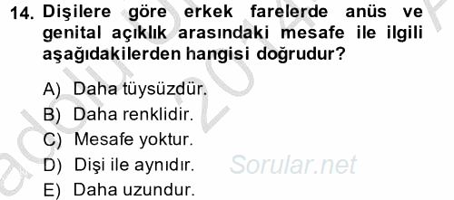 Temel Klinik Bilgisi 2014 - 2015 Ara Sınavı 14.Soru