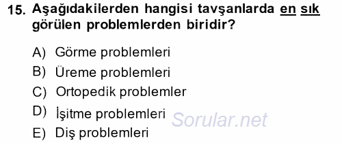 Temel Klinik Bilgisi 2014 - 2015 Ara Sınavı 15.Soru
