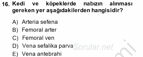 Temel Klinik Bilgisi 2014 - 2015 Ara Sınavı 16.Soru