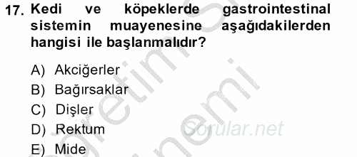 Temel Klinik Bilgisi 2014 - 2015 Ara Sınavı 17.Soru