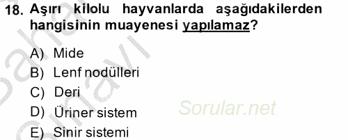 Temel Klinik Bilgisi 2014 - 2015 Ara Sınavı 18.Soru