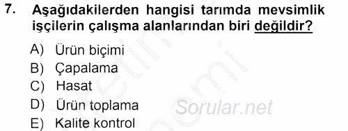 Tarım Ekonomisi 2012 - 2013 Ara Sınavı 7.Soru