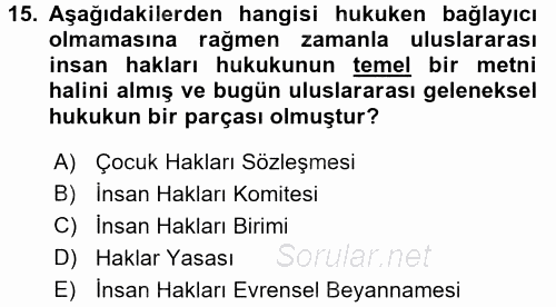 İnsan Hakları ve Demokratikleşme Süreci 2016 - 2017 Ara Sınavı 15.Soru