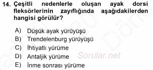 Yaşlı ve Hasta Bakım Hizmetleri 2015 - 2016 Dönem Sonu Sınavı 14.Soru