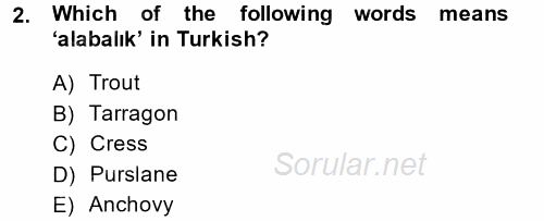 Turizm Için Ingilizce 2 2014 - 2015 Tek Ders Sınavı 2.Soru
