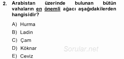 İslam Tarihi ve Medeniyeti 1 2014 - 2015 Ara Sınavı 2.Soru