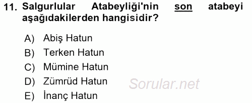 Büyük Selçuklu Tarihi 2016 - 2017 Dönem Sonu Sınavı 11.Soru