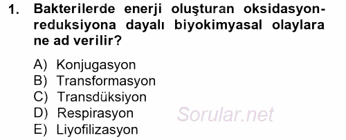 Temel Veteriner Mikrobiyoloji ve İmmünoloji 2014 - 2015 Ara Sınavı 1.Soru