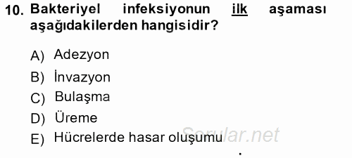 Temel Veteriner Mikrobiyoloji ve İmmünoloji 2014 - 2015 Ara Sınavı 10.Soru