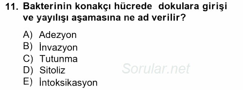 Temel Veteriner Mikrobiyoloji ve İmmünoloji 2014 - 2015 Ara Sınavı 11.Soru