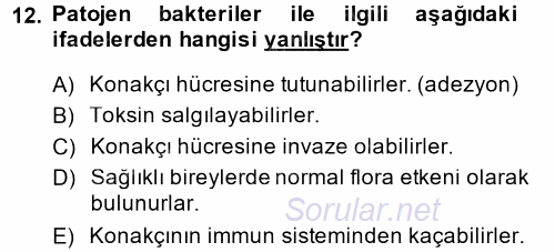 Temel Veteriner Mikrobiyoloji ve İmmünoloji 2014 - 2015 Ara Sınavı 12.Soru